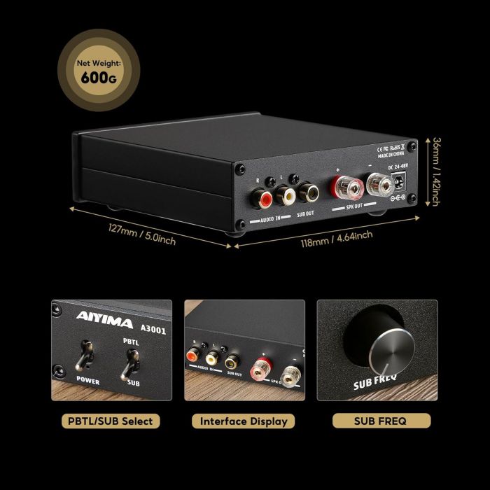 AIYIMA A3001
