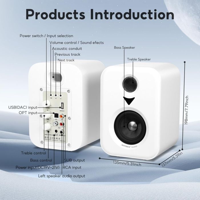 AIYIMA S400