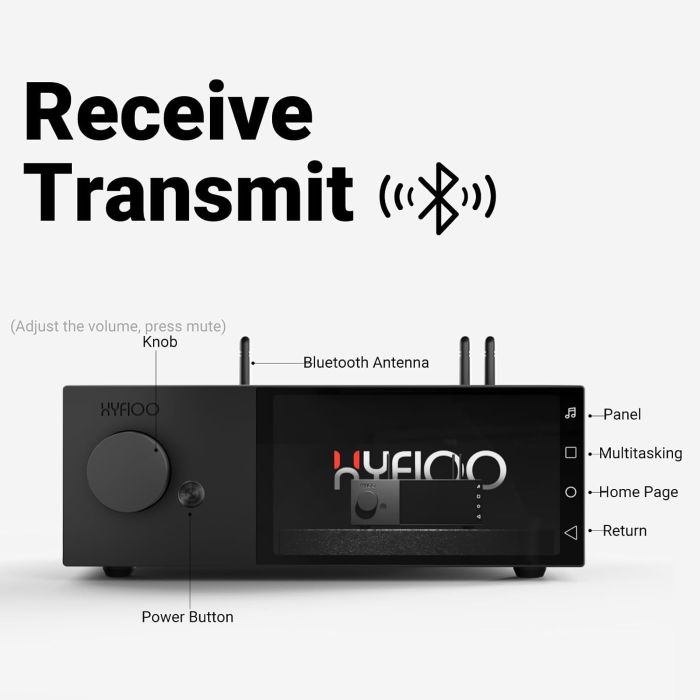 AIYIMA HYFIOO DM100